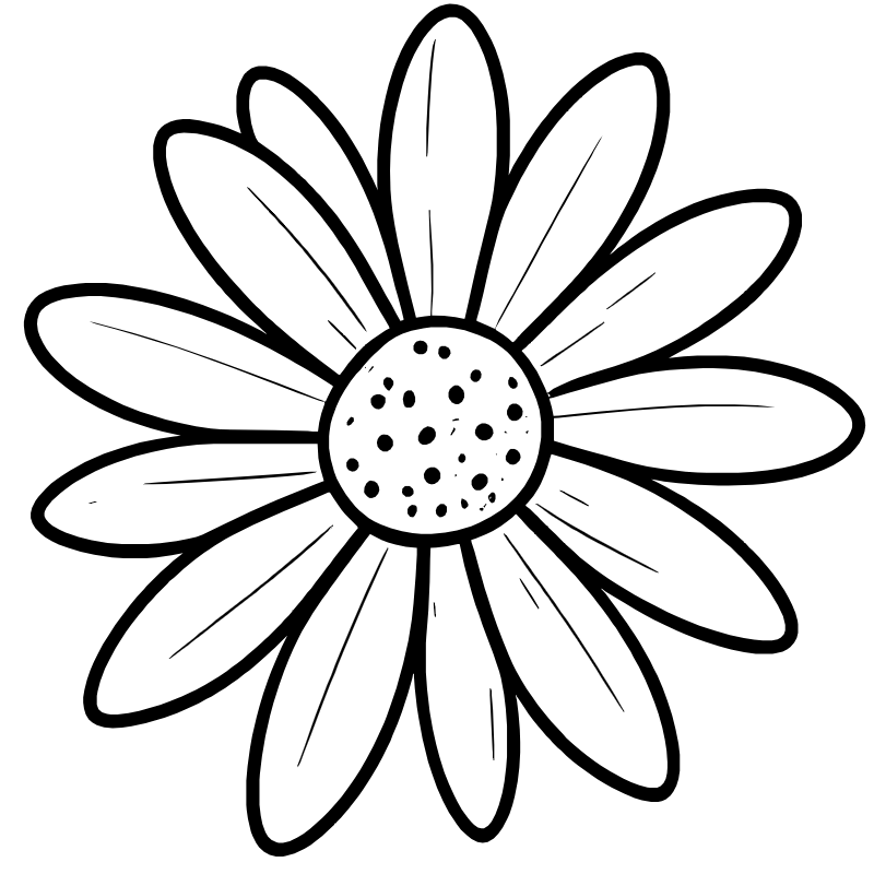 A clean, minimalist line art drawing of a single daisy flower, centered, overhead view, thick black outlines, white background, simple petal details, coloring book style, high contrast, vector aesthetic, no shading.
