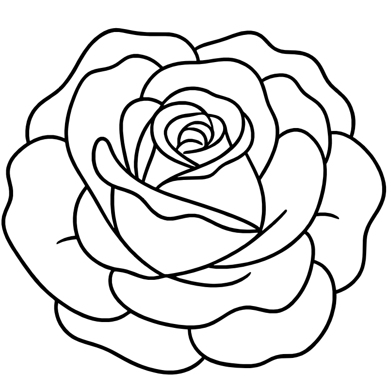 A high-quality minimalist line art of a single blooming rose, thick clean black outlines, white background, symmetrical and centered composition, vector style, elegant petal details, professional coloring book page style, no shading, no gradients, 8k resolution.