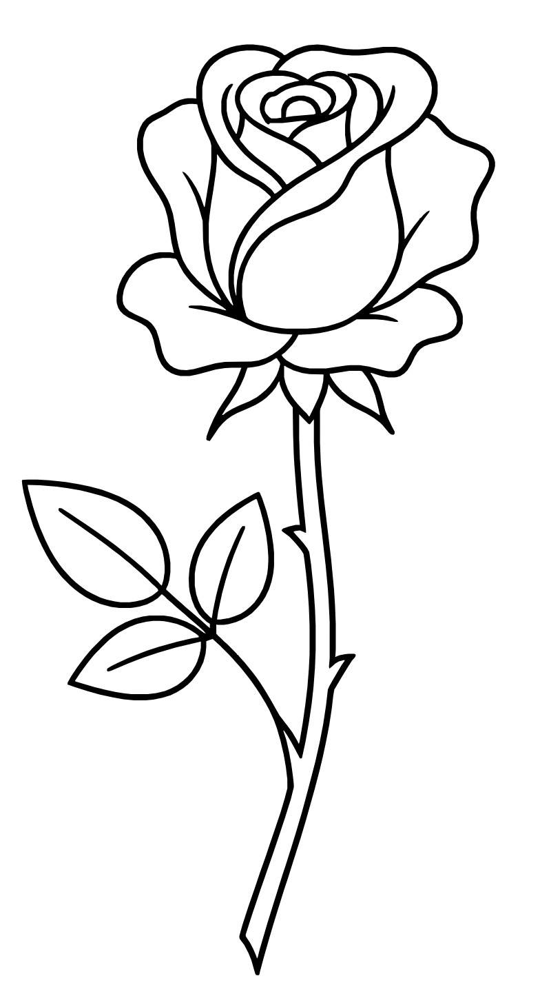 A minimalist line art drawing of a single rose, bold black outlines, pure white background, vector style, perfect for a coloring page, no shading, clean composition.
